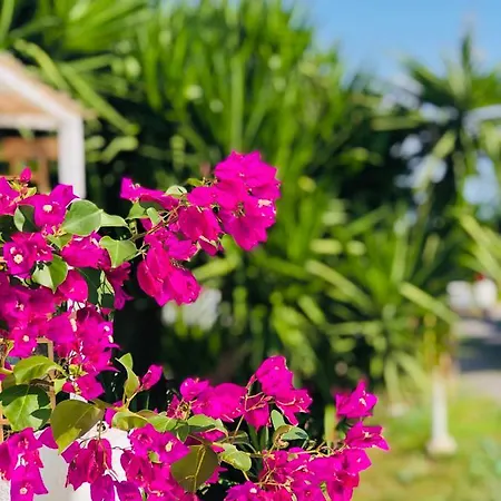 Prázdninový dům Peaceful House - Private Garden