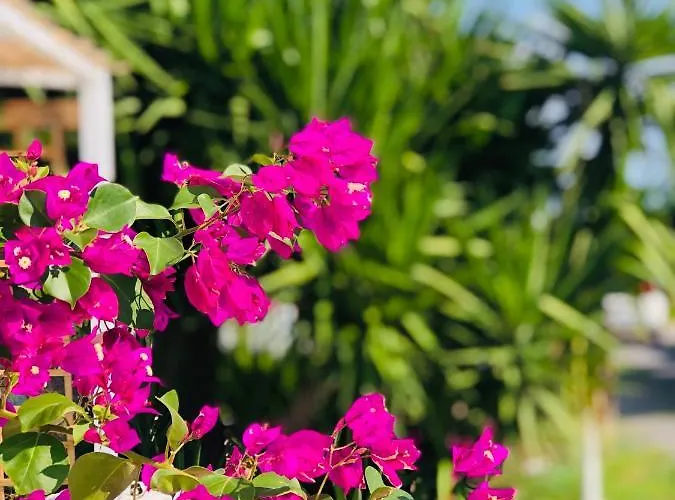Casa de Férias Peaceful House - Private Garden